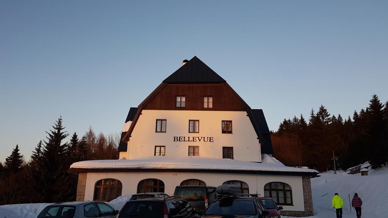 Luxusni Mezonetovy Apartman Bellevue - Novy Benecko Bagian luar foto