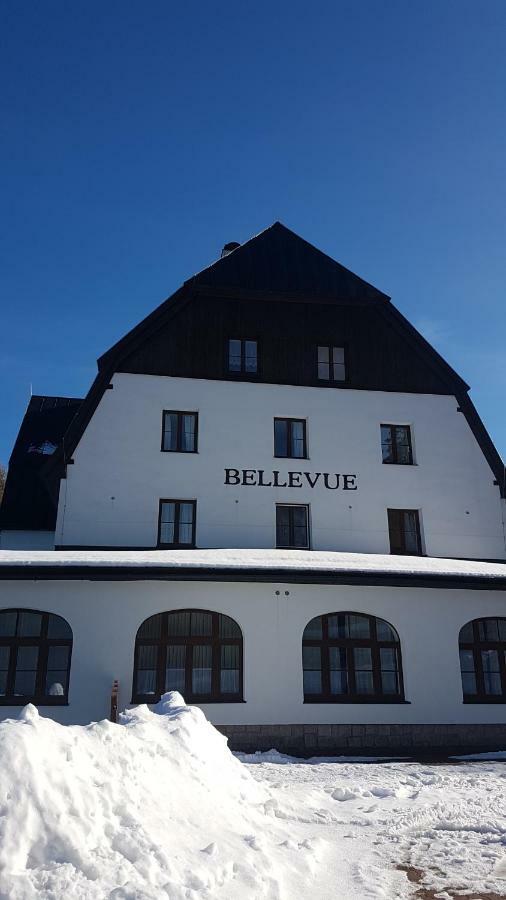 Luxusni Mezonetovy Apartman Bellevue - Novy Benecko Bagian luar foto
